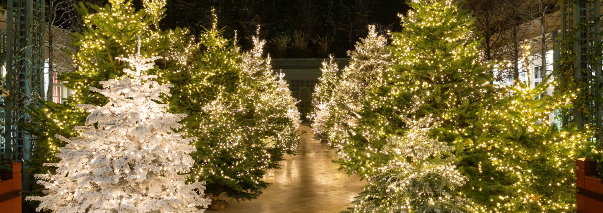Спецпредложение "Extraordinary Christmas"